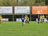 S.K.N.W.K. JO13-1JM - Halsteren JO13-6 (competitie) 2024-2025 (2e fase) (6/139)